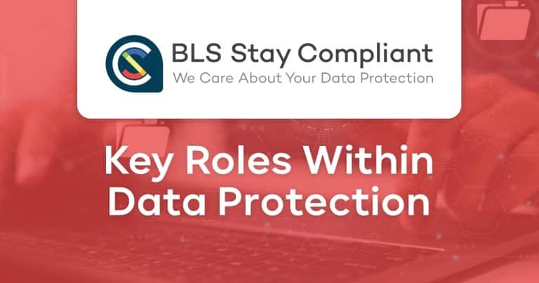 Roles Within Data Protection